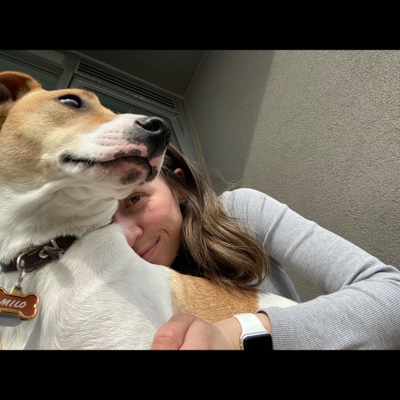 Meet your Posher, Maia - Picture 1 of 1